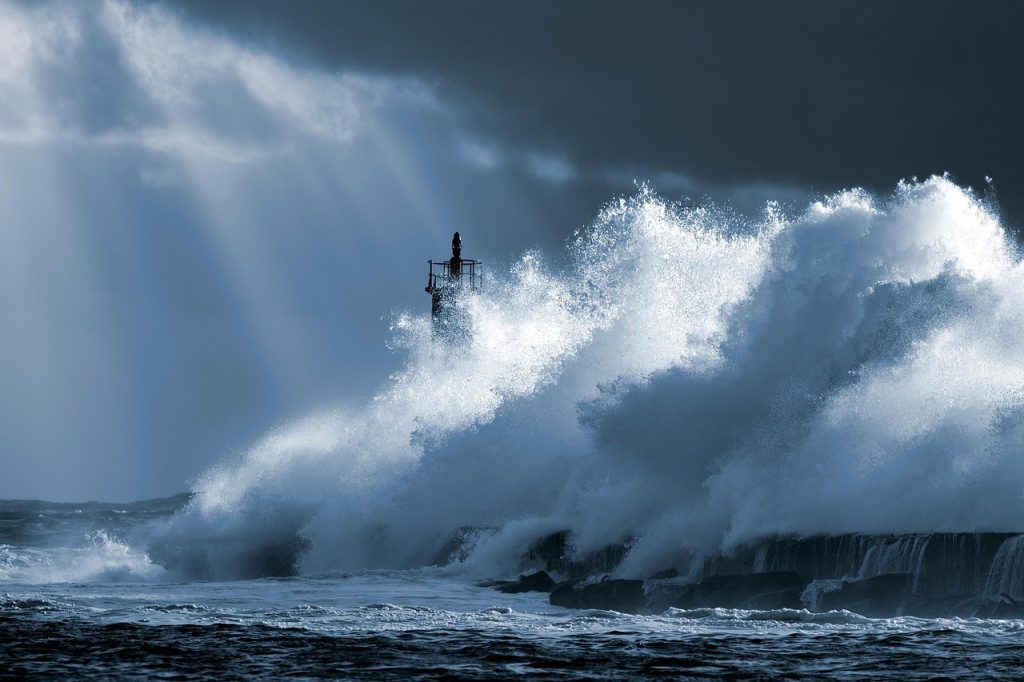 storm floris